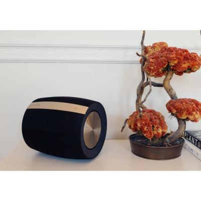 Сабвуфер Bowers & Wilkins Formation Bass Dark
