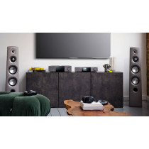 Усилитель Cambridge Audio EXA100 Lunar Grey