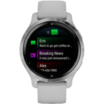 Умные часы Garmin Venu 2S Silver