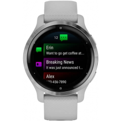 Умные часы Garmin Venu 2S Silver