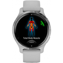Умные часы Garmin Venu 2S Silver
