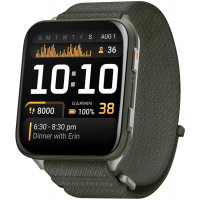 Умные часы Garmin Venu X1 Moss Titanium