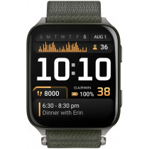 Умные часы Garmin Venu X1 Moss Titanium