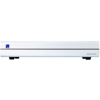 Усилитель PS Audio Stellar S300 Silver