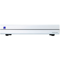 Усилитель PS Audio Stellar S300 Silver