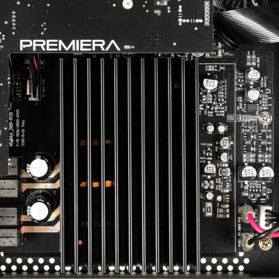 Усилитель Premiera D2S Black