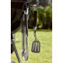 Гриль угольный Weber Master-Touch GBS SE E-5755 Black